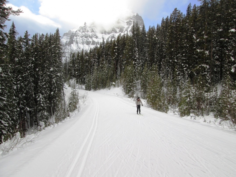 Moraine Lake road