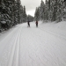 Moraine Lake road