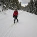 Moraine Lake road