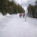 Moraine Lake road