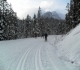 Moraine Lake road