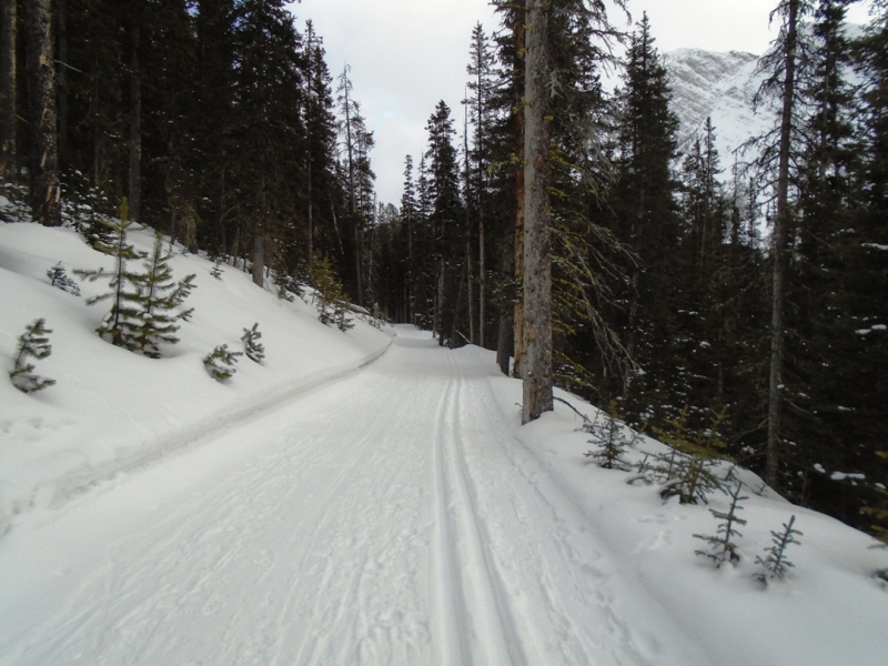Watridge Lake road at Mt Shark