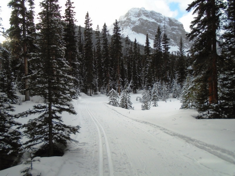 Watridge Lake road at Mt Shark