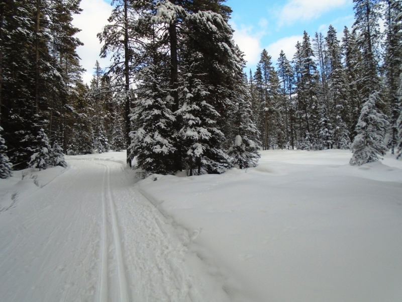 Watridge Lake road at Mt Shark