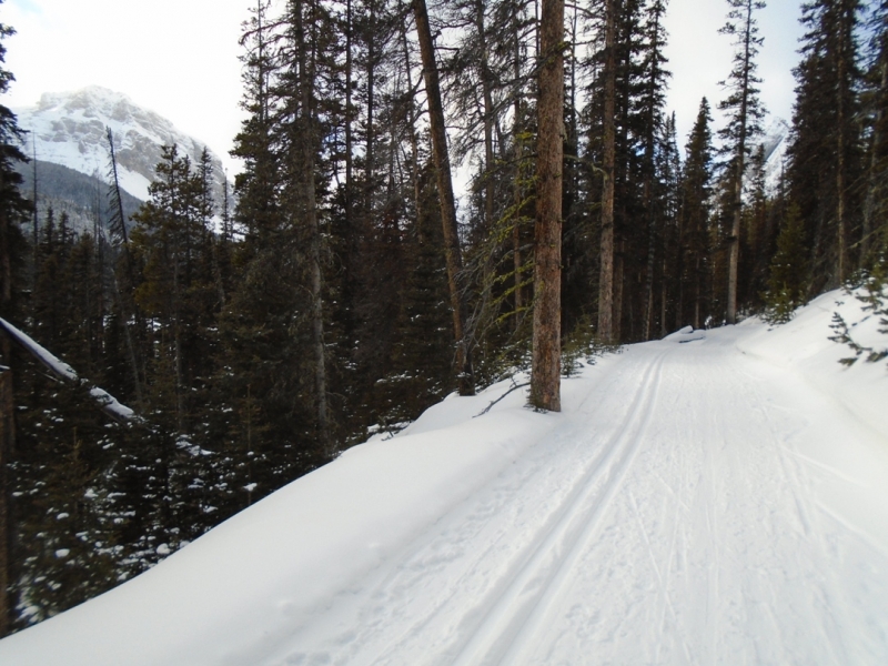 Watridge Lake road at Mt Shark