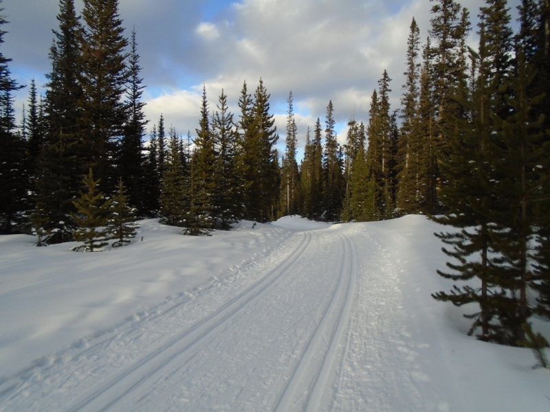 Watridge Lake road at Mt Shark