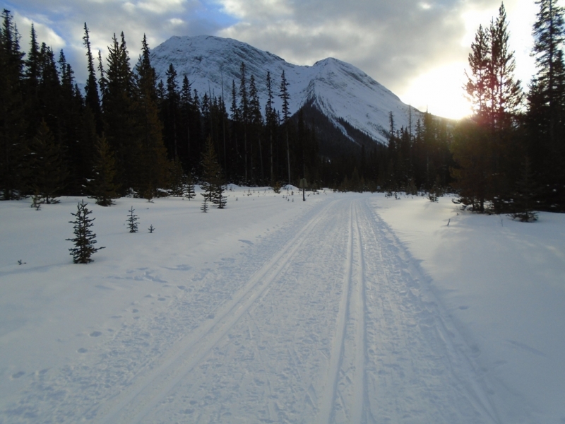 Watridge Lake road at Mt Shark