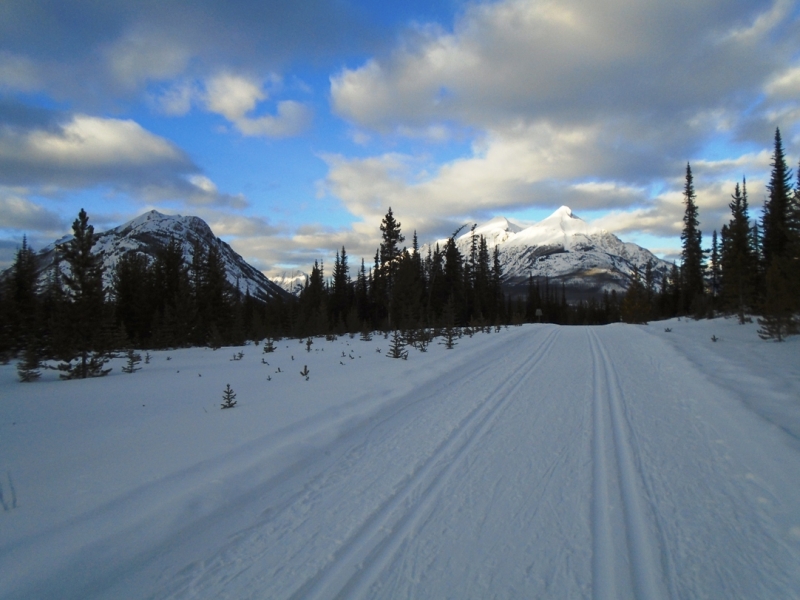 Watridge Lake road at Mt Shark