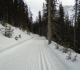 Watridge Lake road at Mt Shark