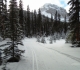 Watridge Lake road at Mt Shark