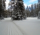 Watridge Lake road at Mt Shark