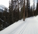 Watridge Lake road at Mt Shark