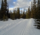 Watridge Lake road at Mt Shark