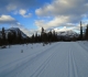 Watridge Lake road at Mt Shark