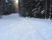 Pocaterra trail has lots of fresh snow