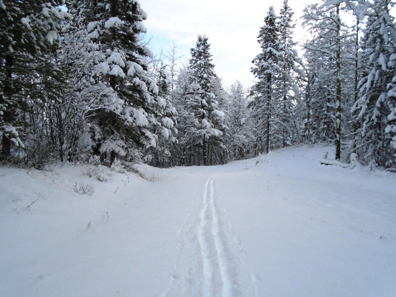Terrace trail