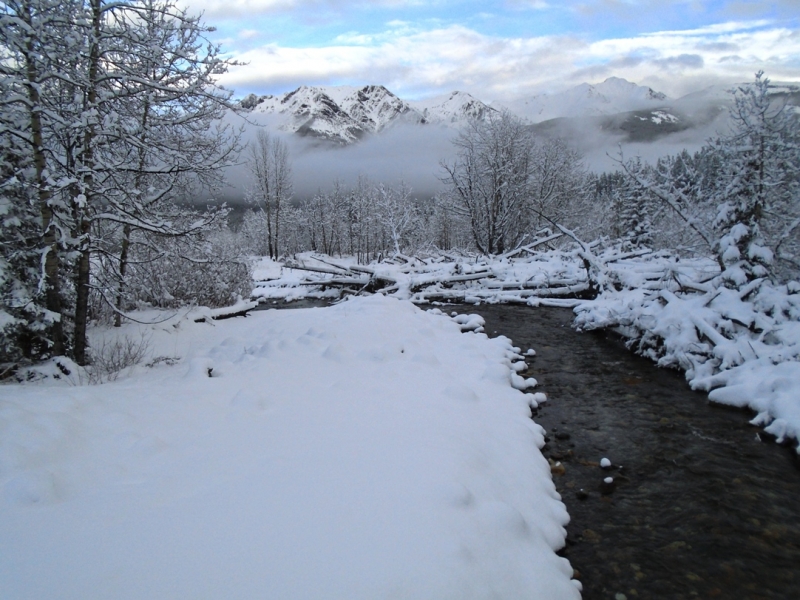 Ribbon creek