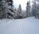 Terrace trail