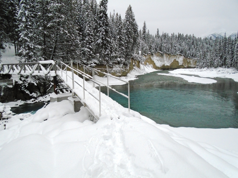 Nipika Mountain Resort