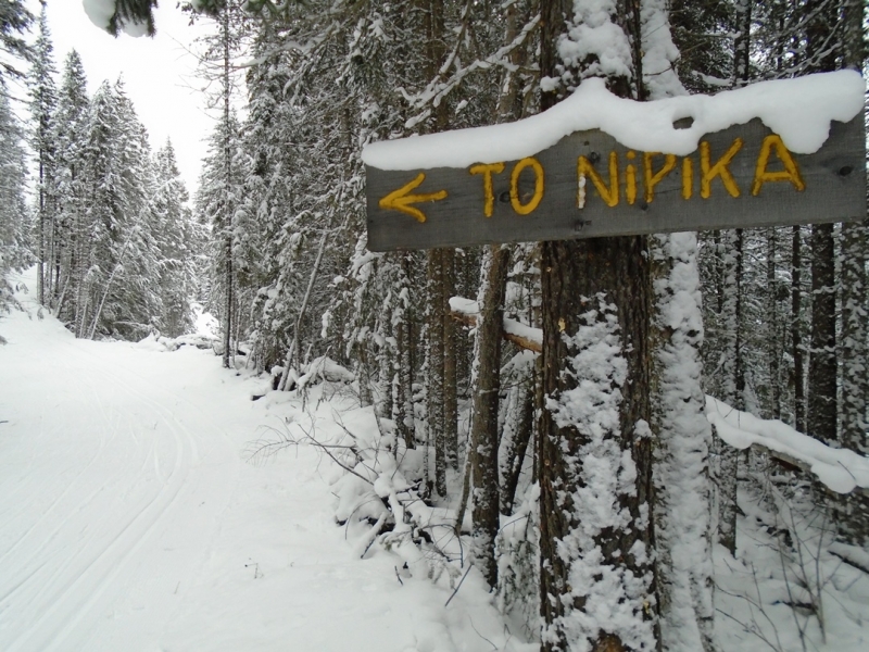 Nipika Mountain Resort