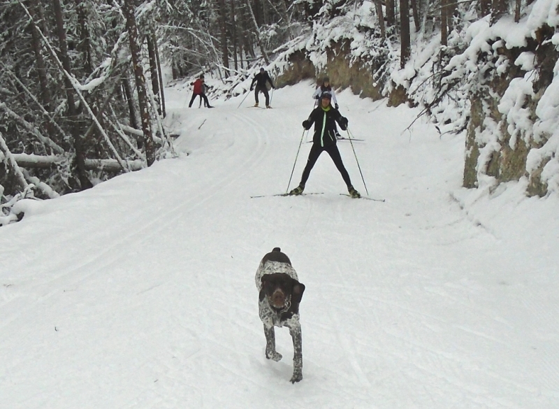 Nipika Mountain Resort