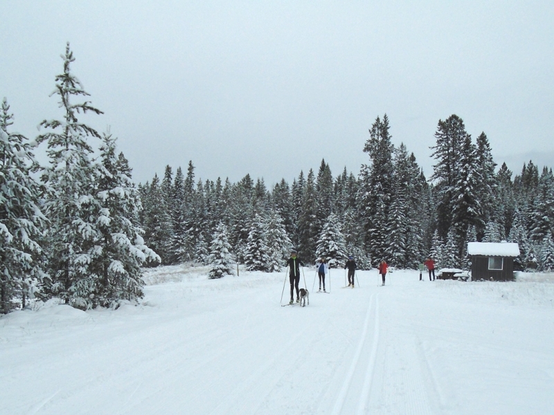 Nipika Mountain Resort