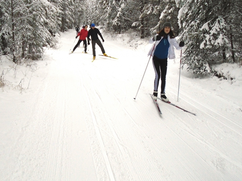 Nipika Mountain Resort