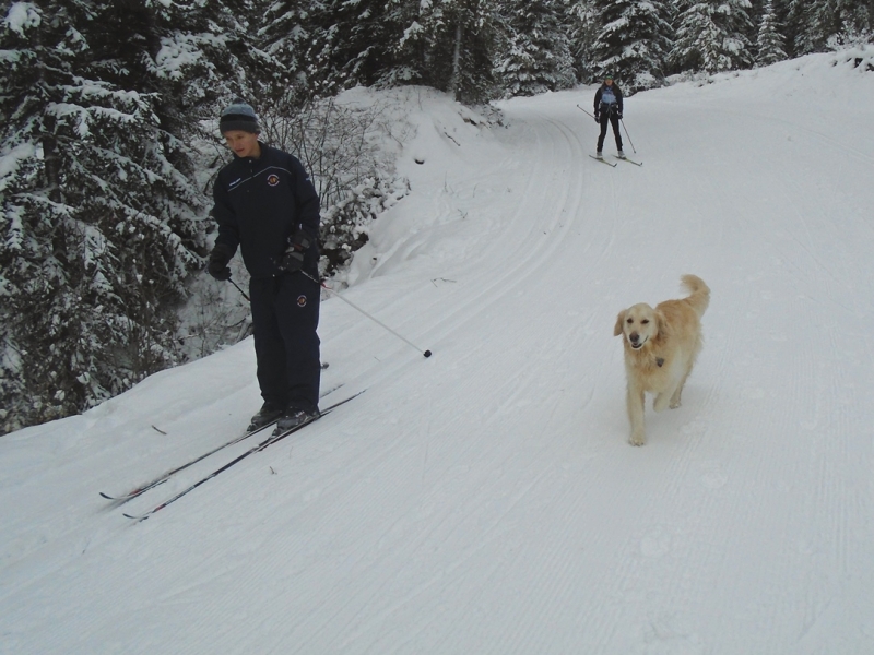 Nipika Mountain Resort