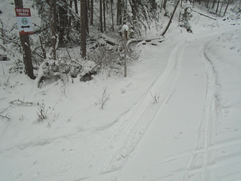 Nipika Mountain Resort