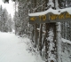 Nipika Mountain Resort