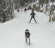 Nipika Mountain Resort