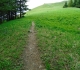 3. Pigeon mountain