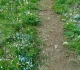 10. Pigeon mountain
