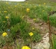 11. Pigeon mountain