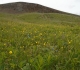 19. Pigeon mountain