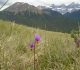 20. Pigeon mountain
