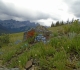 22. Pigeon mountain