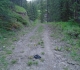 Pigeon mountain