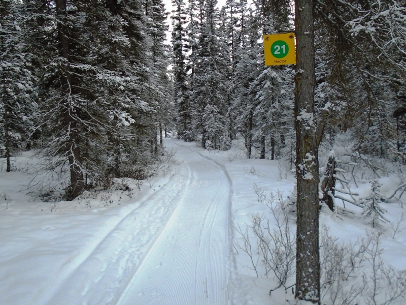 Pipestone