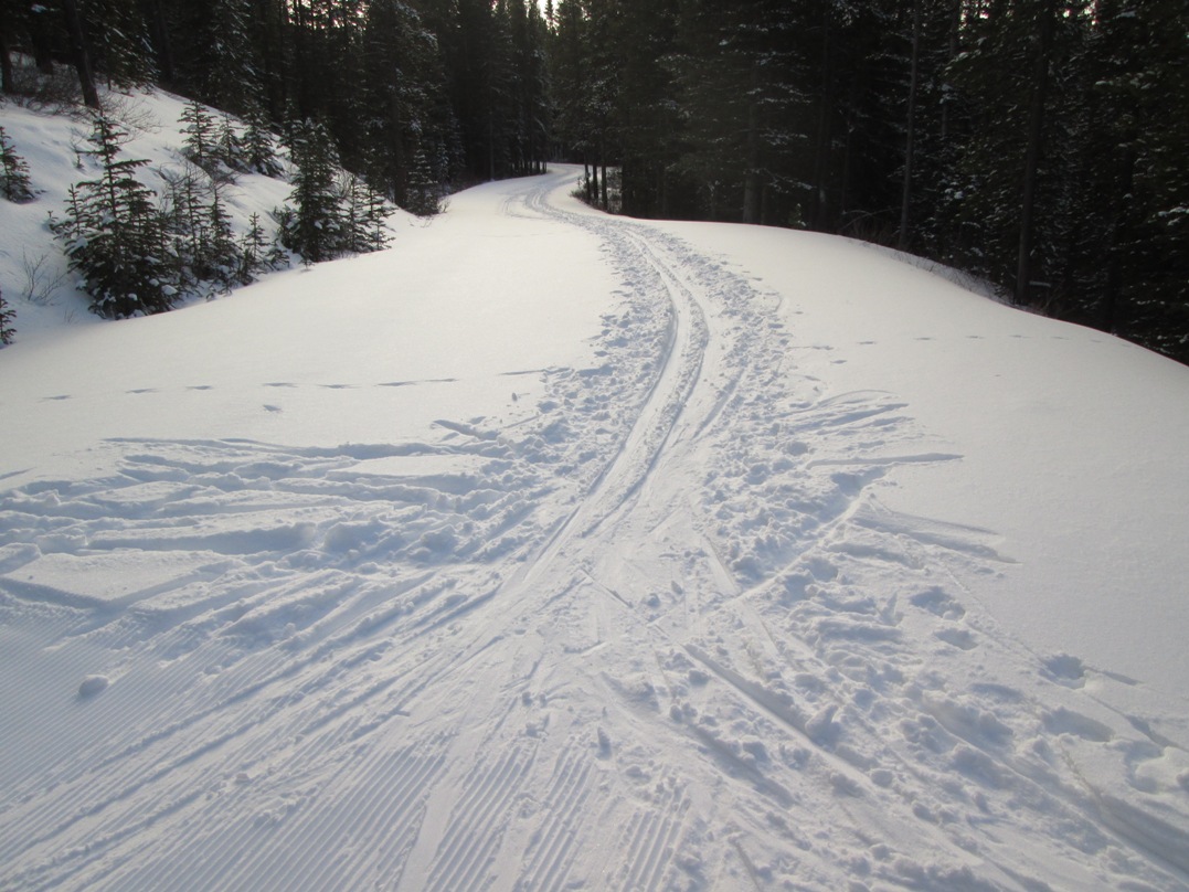 Moraine