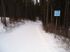 Meadow trail is groomed from Elkwood to the Visitor Centre