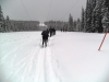 Elk Pass was trackset last night but is covered in 40 cm of new snow