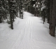 Fox Creek