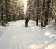 Wheeler