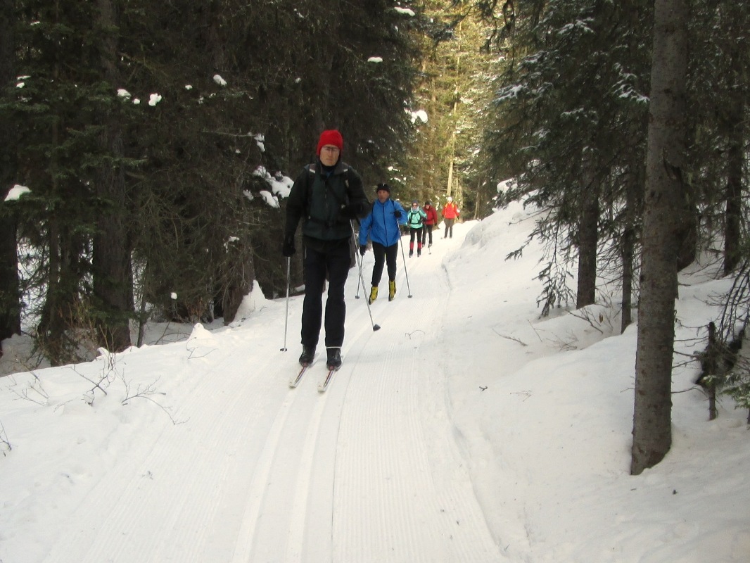 Fox creek