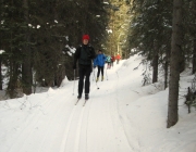 Fox creek