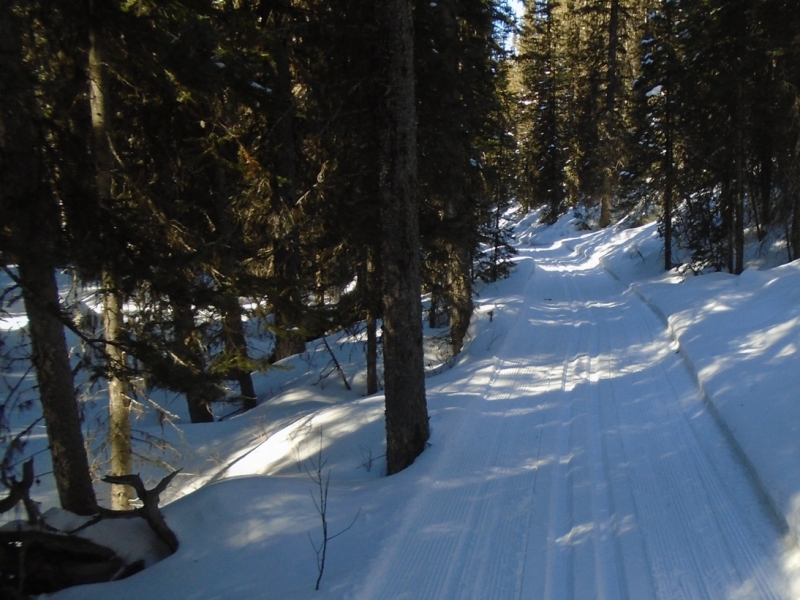 Fox Creek