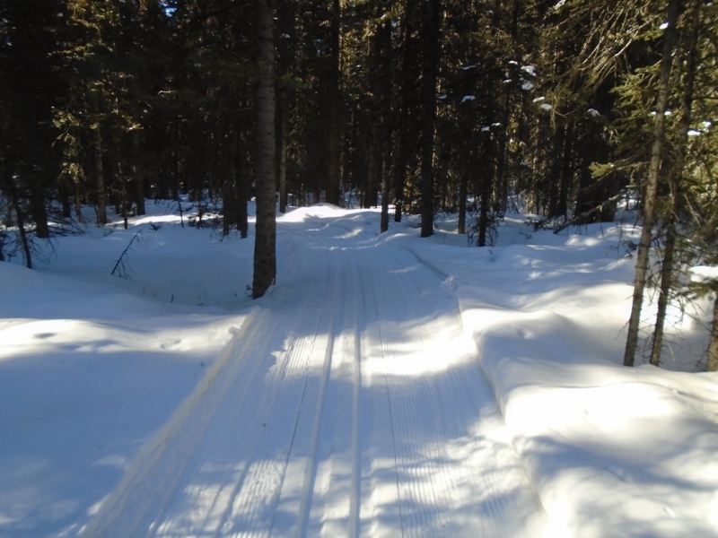 Fox Creek