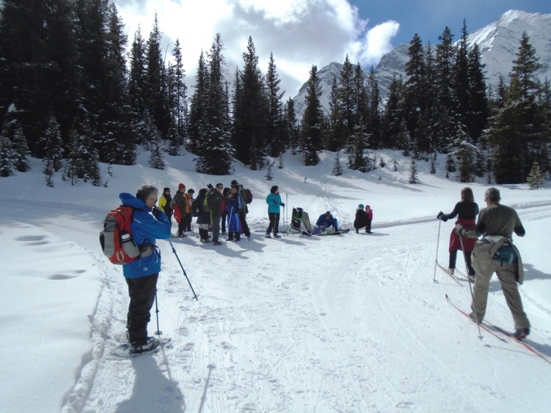 Elk Pass - Patterson junction