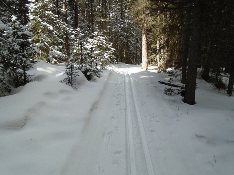 Boulton Creek
